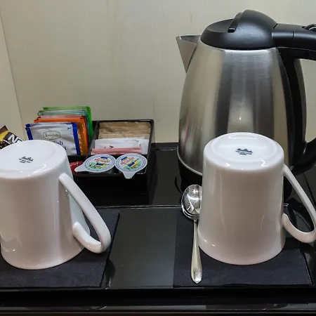 فندق مارتيس بالاس